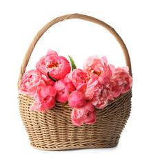Fototapeta na wymiar Wicker basket with beautiful pink peonies on white background