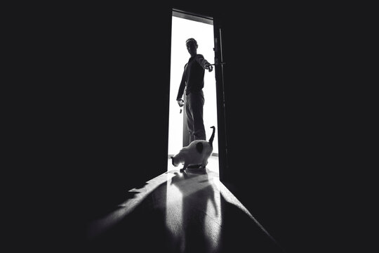 Cuarto oscuro puerta de luz gato