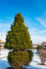 Obraz premium It's Nature of the province Zanjan in Iran, Asia.