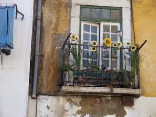 Fototapeta na wymiar Small and pretty balcony decorated with beautiful sunflowers, Lisboa, Portugal, Lisboa, Portugal