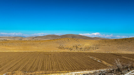 It's Desert near the ancient Persian city of Pasargad, Iran. UNESCO World Heritage