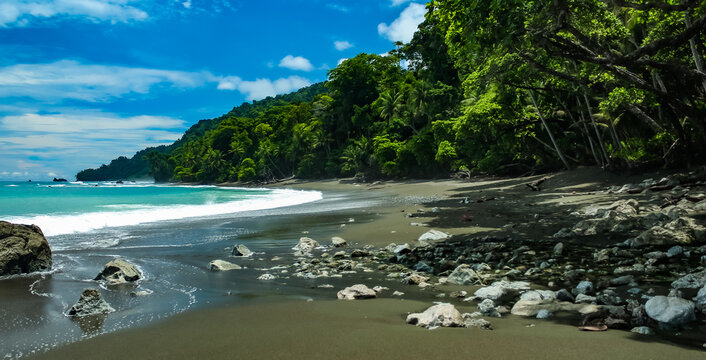 Lush rainforest beach and rolling waves of Corcovado rainforest, Costa Rica