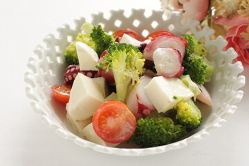 Octopus and vegetable with Mozzarella cheese salad