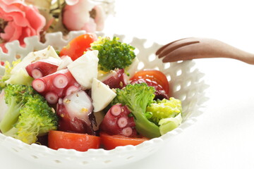 Octopus and vegetable with Mozzarella cheese salad