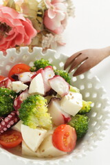 Octopus and vegetable with Mozzarella cheese salad