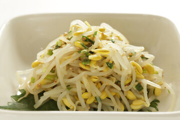 Korean food, boiled soy bean sprout and seasoning, green onion mixed Namul side dish