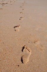 Footprints on the beach background