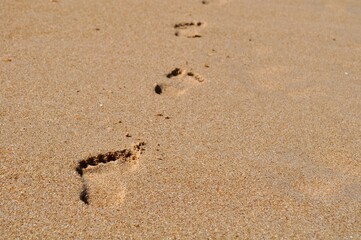 Footprints on the beach background