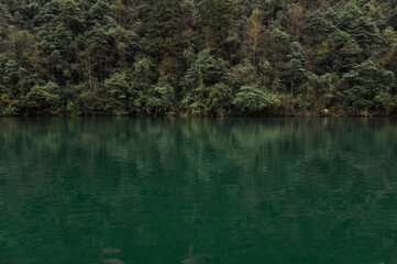 reflections in the water