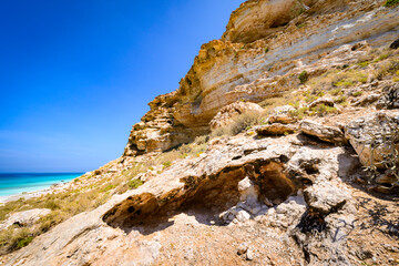 It's Socotra Island, Yemen. UNESCO World Heritage