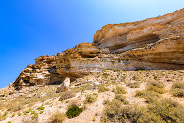 Fototapeta premium It's Socotra Island, Yemen. UNESCO World Heritage