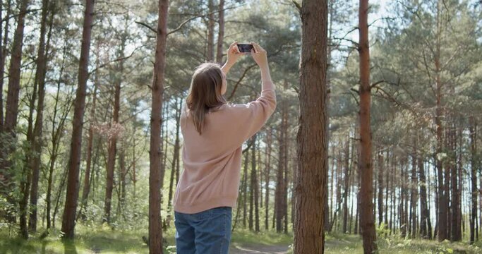 Young attractive woman taking photos on a smartphone in a summer forest