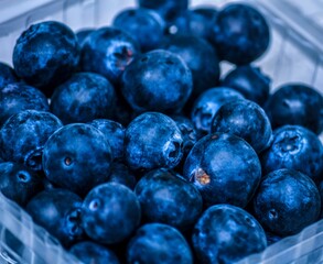 Organic Blueberry Fresh