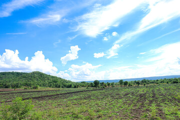 Naklejka premium Green mountains against the blue sky background