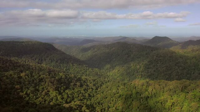 Aerial shot of green trees in forest against sky on sunny day, drone flying forward over Springbrook National Park