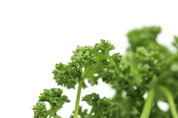 parsley isolated in white background
