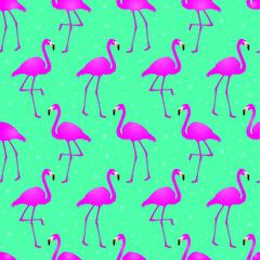 Seamless pattern flamingo and circle ornament with tosca background