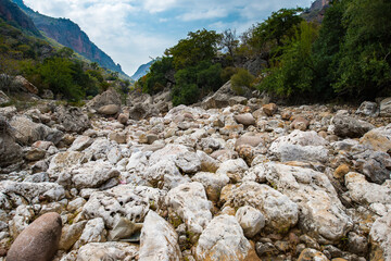 It's Nature of Socotra Island archipelago