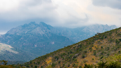 Fototapeta premium It's Nature of Socotra Island, Yemen. UNESCO World Natural Heritage