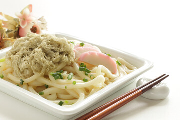 Japanese food, kamaboko and seaweed  Kombu on cold Udon noodles