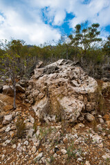 It's Nature of Socotra Island, Yemen. UNESCO World Natural Heritage. Small archipelago of four islands in the Indian Ocean