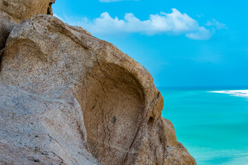 It's Nature of Socotra Island, Yemen. UNESCO WOrld heritage