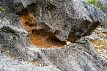 It's Rock formations on the Soqotra Island, Yemen