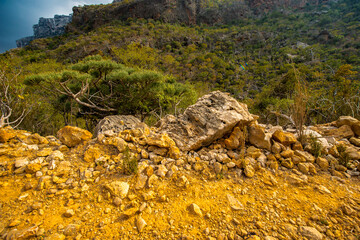 It's Rock formations and dry trees