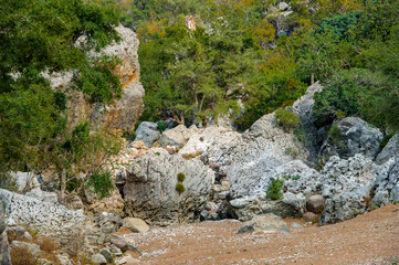 It's Rock formations and dry trees