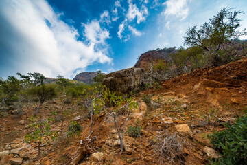 It's Nature of the Socotra Island, Yemen