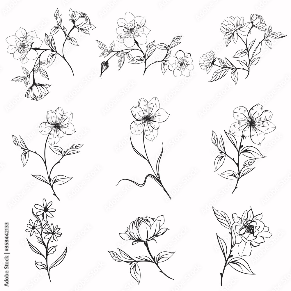 Poster collection of vector elegant rustic plants for design