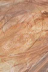Vehicle tracks in soil on insdustrial construction site, on Curtis Island, Queensland