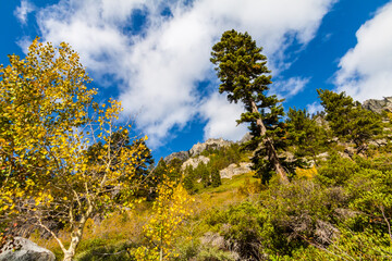 Fall Color Against the Granite Walls of Jakes Peak Above Emerald Bay, Lake Tahoe, California, USA