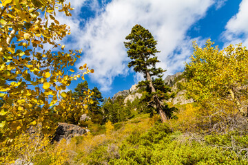 Fall Color Against the Granite Walls of Jakes Peak Above Emerald Bay, Lake Tahoe, California, USA © Billy McDonald