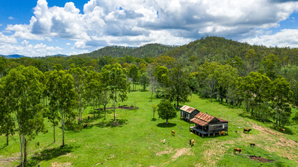 Kroombit Tops National Park summer landscape with disused homestead and vibrant green vegetation, Queensland
