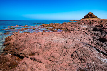 It's Rock formation of the Socotra Island in Yemen