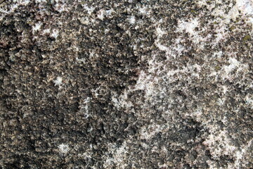Texture structure of an ancient stone background abstraction