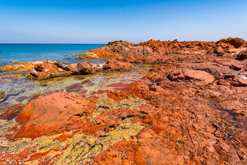 Obraz premium It's Socotra Island, Yemen. UNESCO World Heritage