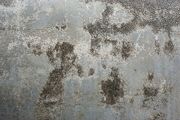 The background of the concrete wall with a beautiful exotic pattern.