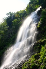 Fototapeta premium 天滝渓谷