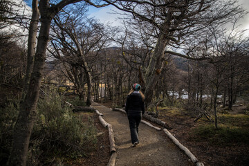 Woman walking in a forest in winter