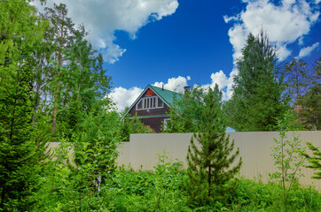 Wooden house with two floors in the forest in summer.