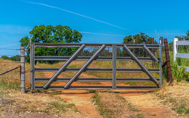 Foothills, Oak Trees, Dirt Road and Gate-001