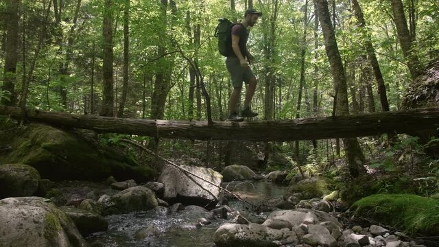 A man hiking through woodland crosses a river by walking along a fallen tree bridge