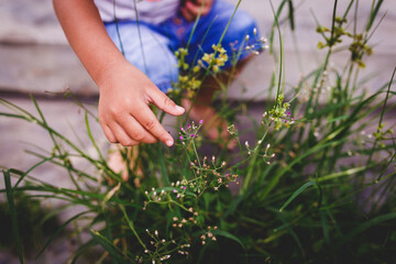 Boy hands with flowers