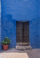 Fototapeta na wymiar Vertical shot of beautiful ancient black door with flower pot and blue wall