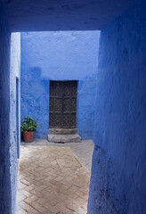 Vertical shot with ancient black door with flower pot and beautiful blue wall