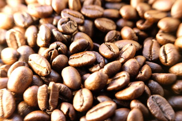 coffee beans background
