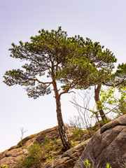 It's Nature of the Mount Kumgang (Diamond Mountain) of the Mount Kumgang Tourist Region in North Korea