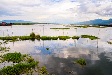 It's Inpawkhon village over the Inle Sap,a freshwater lake in the Nyaungshwe Township of Taunggyi...